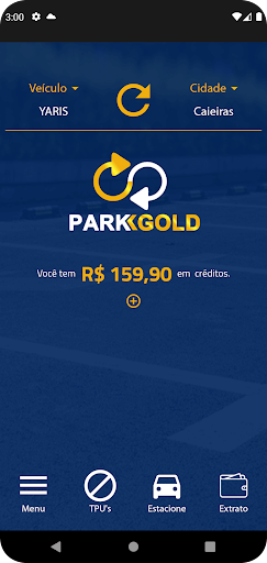 Parkgold Pay Screen 2