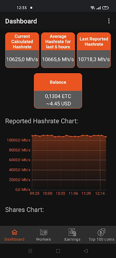 Nanopool Monitoring Screen 2