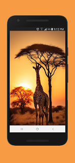 Sunset 200 HD Wallpapers screenshot 6