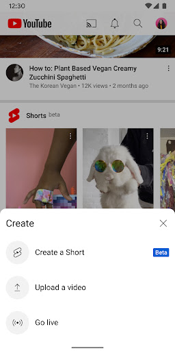 YouTube Premium v19.04.38 APK (MOD, Background Play)