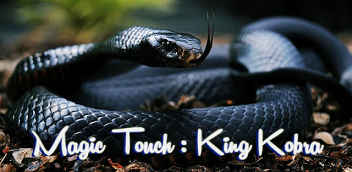 Magic Touch Cobra Attack