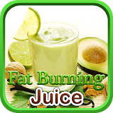 Fat Burning Juice - 30 Day Plan icon