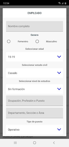 IHES NOM-035 Screen 2