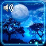 Cover Image of Download Night Moon Live Wallpaper 1.2 APK