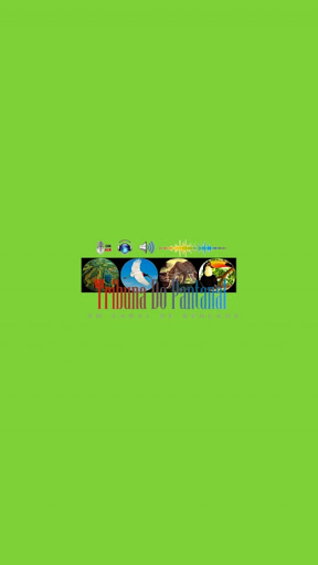 Android application Rádio Tribuna do Pantanal screenshort