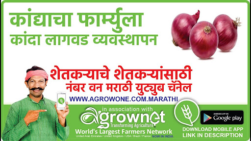 Android application कढीपत्ता लागवड #Agrownet™ screenshort