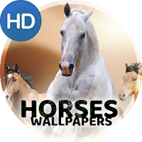 サラブレッド名馬 競馬 の画像集 待受けアプリ 壁紙 のおすすめアプリ Android Applion