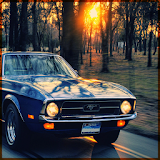 Mustang Wallpapers icon