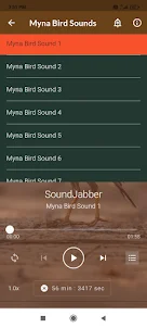 Mynas Bird Sounds
