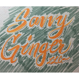 The Savvy Ginger icon