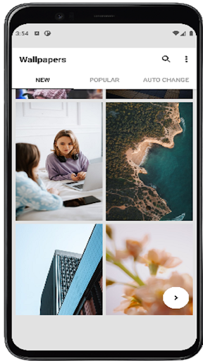 Wallpapers App Screen 3