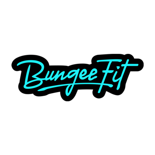 Bungee Fit ICT logo