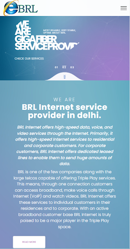 BRLNET-PAY Screen 3
