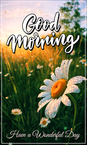 Android application All Wishes screenshort