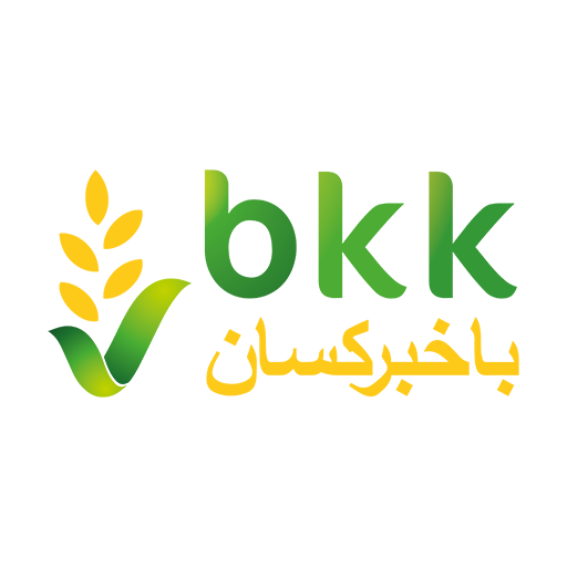 BKK Connect logo
