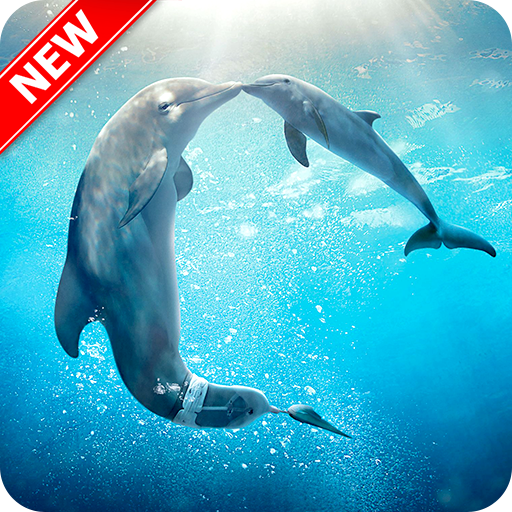 Dolphins Wallpaper - Ứng dụng trên Google Play