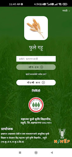 Phule Wheat Screen 2