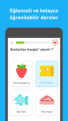 Duolingo Plus