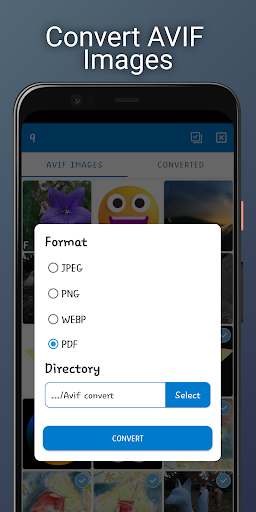 AVIF Image Viewer: AVIF to PNG Screen 2