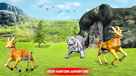 Black Tiger Family Simulator