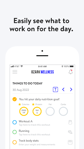 Screenshot of Ozark Wellness