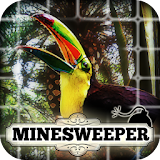 Minesweeper: Garden Paradise icon