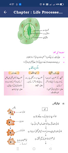 Biology class-10 in Urdu(اردو) Screen 2