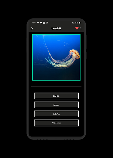 Animals Quiz Mammals, Birds, Reptiles  Fishes ?