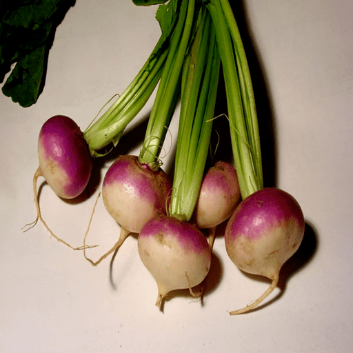 فوائد بذور اللفت