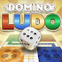 Ludo & Domino: Fun Board Game