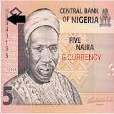 African Currency Notes icon