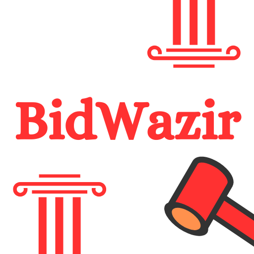 BidWazir - Auction Demo App logo