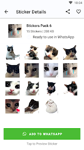 Cats Meme Stickers Funny Wsp