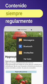 Captura 6 Hongos comestibless android