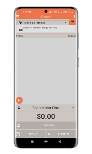 POSBerry GO Screen 3