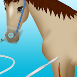 horse surgery games 2 icon
