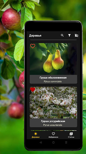 Справочник плодовых деревьев Screen 3
