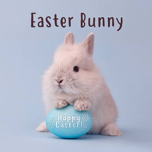 Easter Bunny Theme  Icon