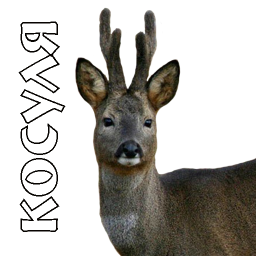 Decoys on roe deer 1.0 Icon