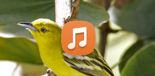 Android application Sirtu Birds Souds screenshort
