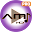 AMI Player Pro Download on Windows