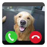 Prank Call Puppy icon