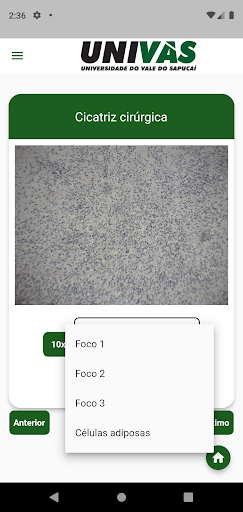 Atlas CitoandHistoandEmbrio