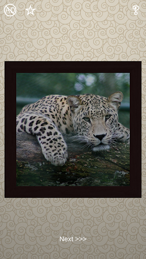 Mix Puzzles - 100 Pictures