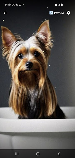 Yorkshire Terrier Walpaper Art Screen 3