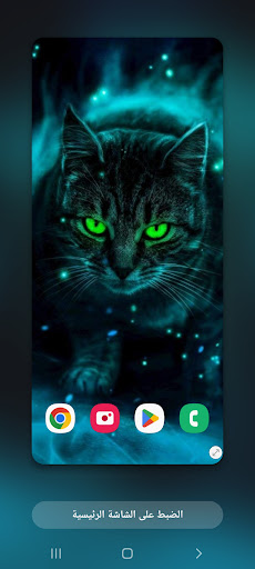 2022 Wallpapers Cot (1) 4k Screen 2