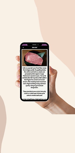 expensive foods in the world Screen 3