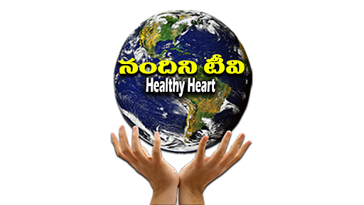 Android application Nandini TV screenshort