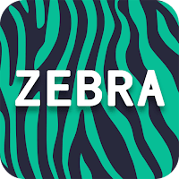 Zebra Proxy - Safe and Fast VPN
