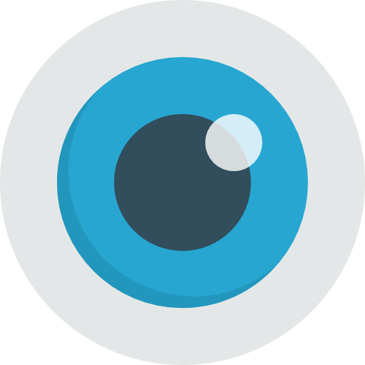Video Eye logo